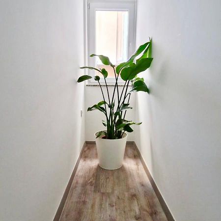Ljubljana Central Cozy Apartment W Free Parking Liubliana Exterior foto